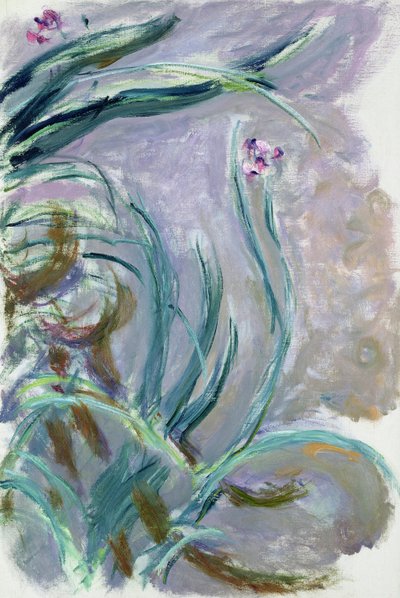 Iris by Claude Monet